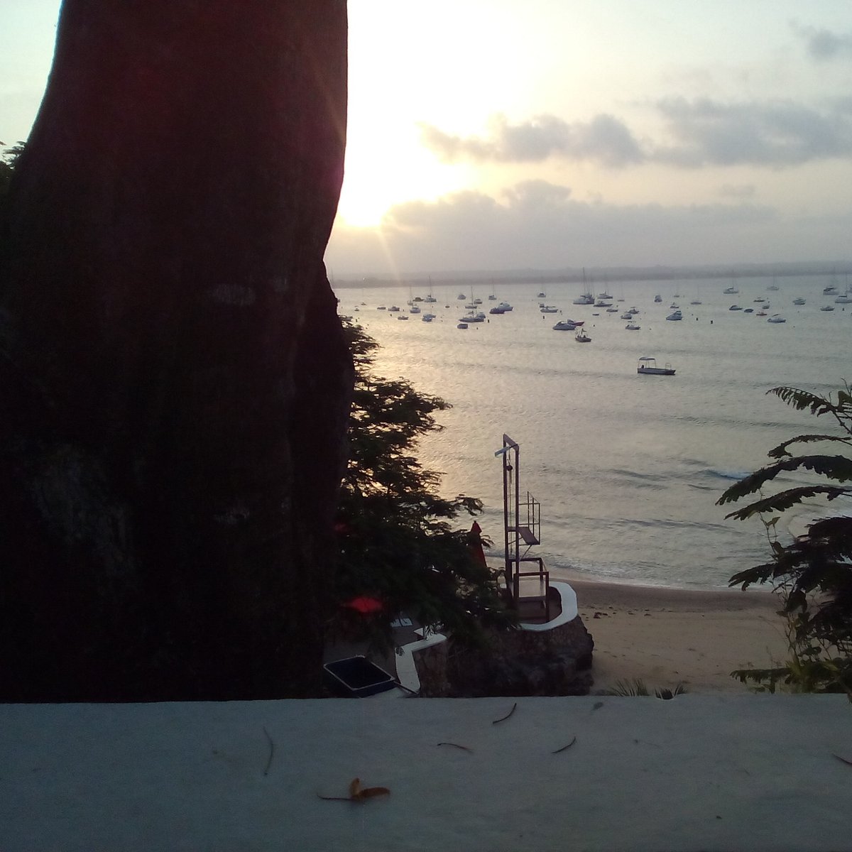 Aussicht auf das Meer vor der tansanischen Metropole Daressalam. Sehr viele kleine Boote sind auf dem Wasser. Im Vordergrund ist ein kurzes Stück Strand zu sehen.