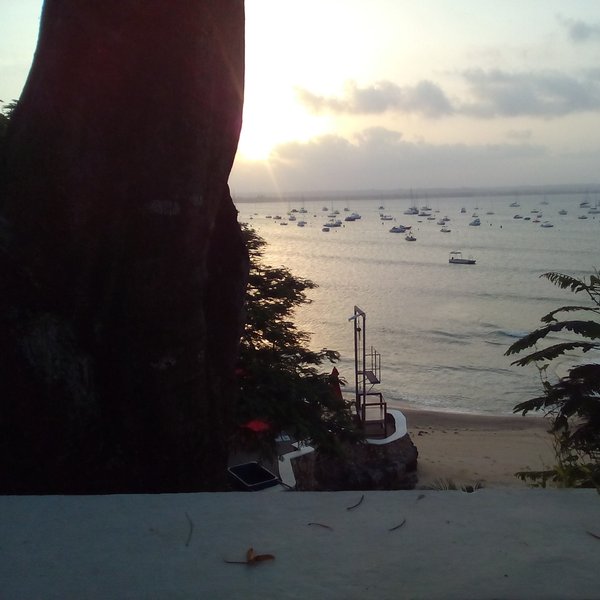 Aussicht auf das Meer vor der tansanischen Metropole Daressalam. Sehr viele kleine Boote sind auf dem Wasser. Im Vordergrund ist ein kurzes Stück Strand zu sehen.
