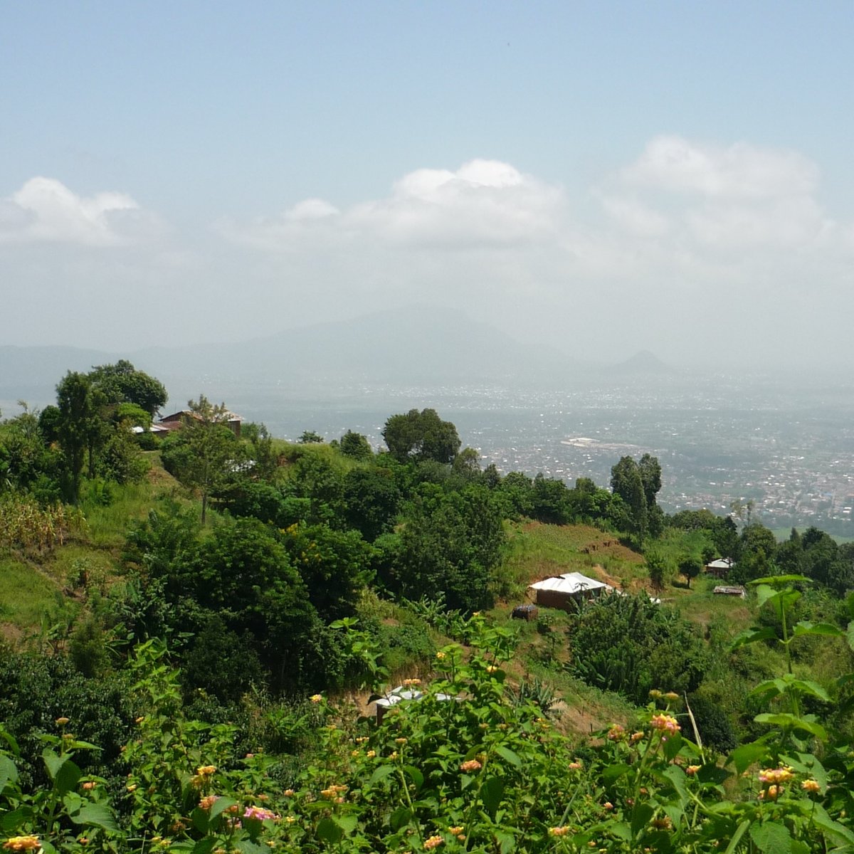 Blick vom Uluguru-Gebirge ins Tal und auf die nahe gelegene Stadt Morogoro. Im Vordergrund ist ein Hügel mit starker grüner Vegetation zu sehen.