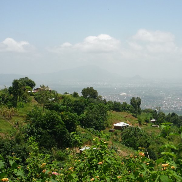Blick vom Uluguru-Gebirge ins Tal und auf die nahe gelegene Stadt Morogoro. Im Vordergrund ist ein Hügel mit starker grüner Vegetation zu sehen.