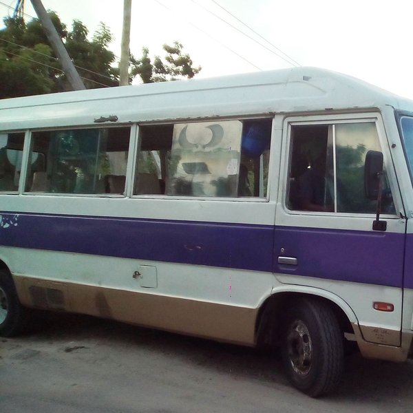 Ein Kleinbus, genannt Dalladalla, mit einem lilafarbenen Streifen auf der Seite.