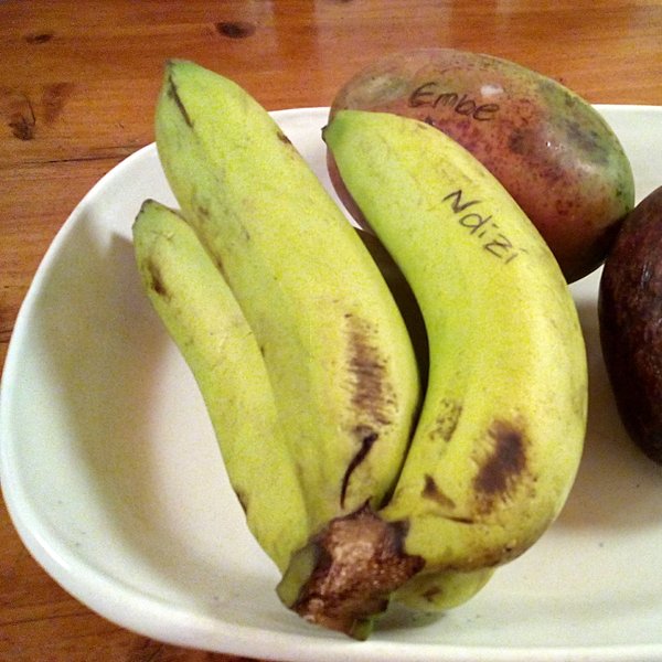 Das Foto zeigt eine Obstschale mit Bananen, einer Mango, einer Avocado und einer Limette.