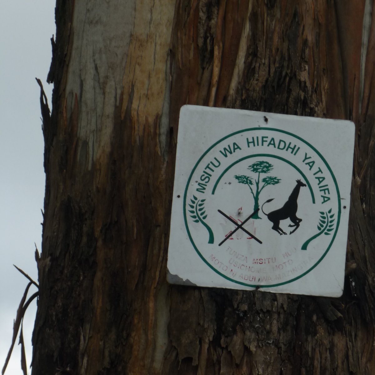 Ein Schild an einem Baum, auf dem ein durchgestrichenes Feuer und eine Giraffe zu sehen sind.