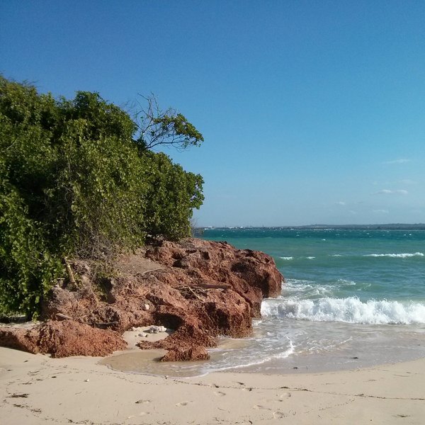 Das Foto zeigt den Strand der Insel Bongoyo und das Meer