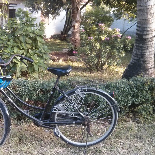 Das Foto zeigt ein schwarzes Damenrrad, an dessen Lenker ein blauer Fahrradhelm hängt. Das Fahrrad steht vor einem Gebüsch.