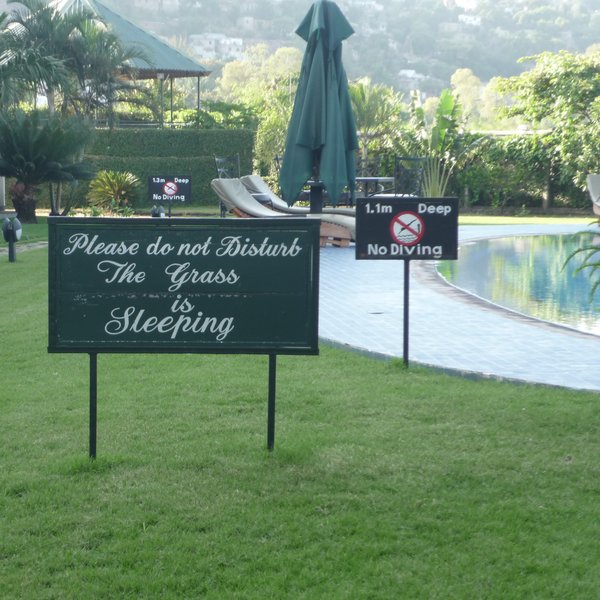 Das Bild zeigt ein Schild auf dem steht: "Please do not disturb, the grass is sleeping"
