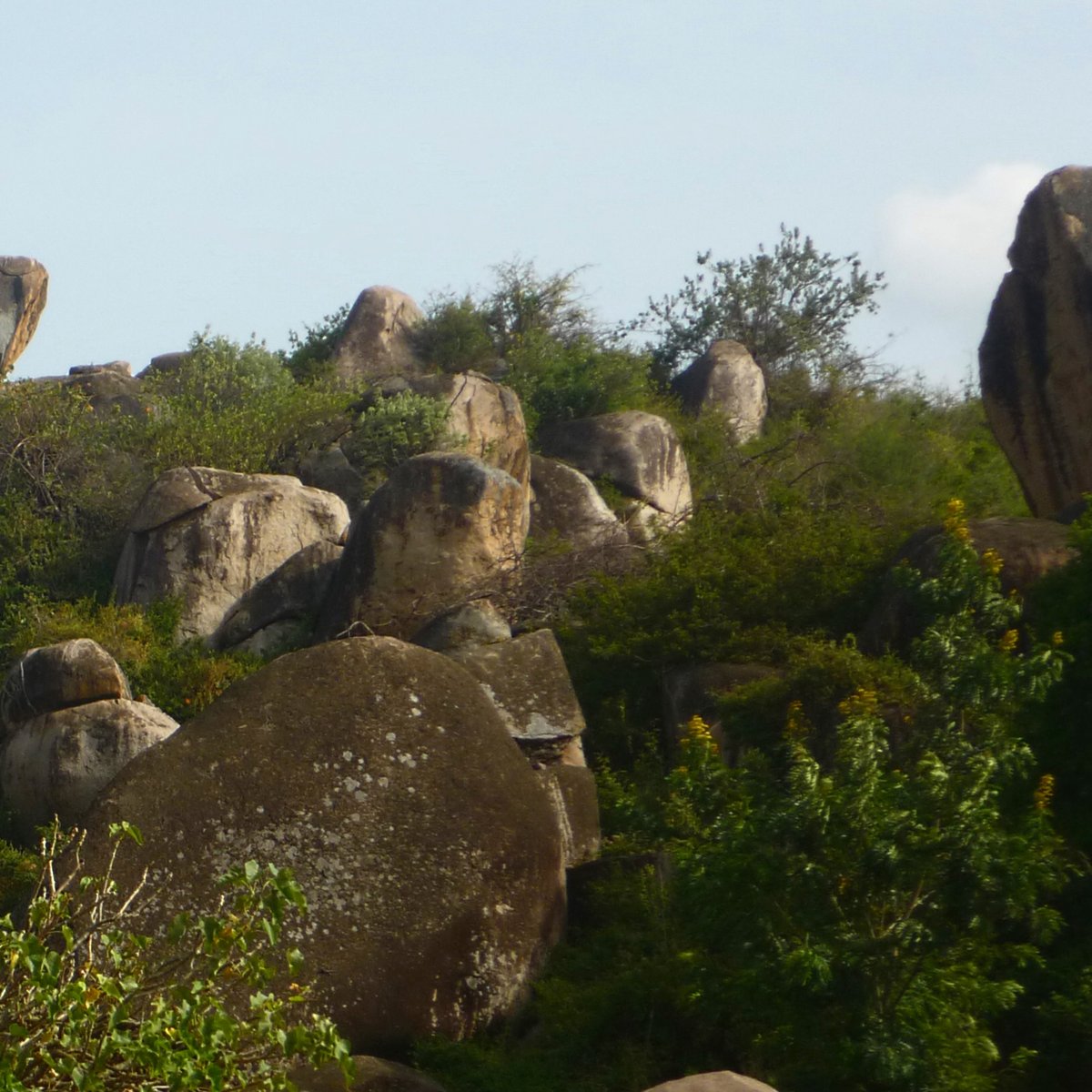 Das Bild zeigt einen für die Region um Mwanza typischen Hügel mit runden Felsformationen