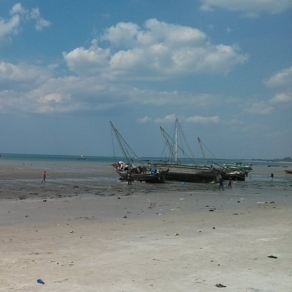 Das Bild zeigt Boote am Strand der Stadt Bagamoyo bei Ebbe