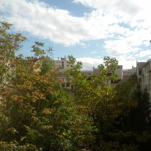 It's a beautiful day