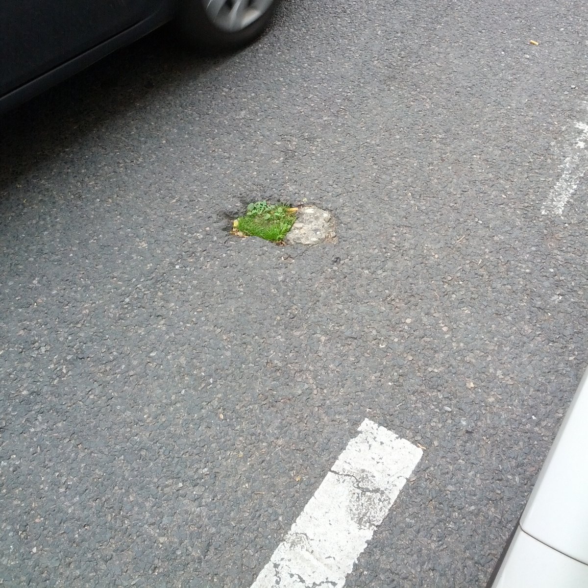 Gooo nature!